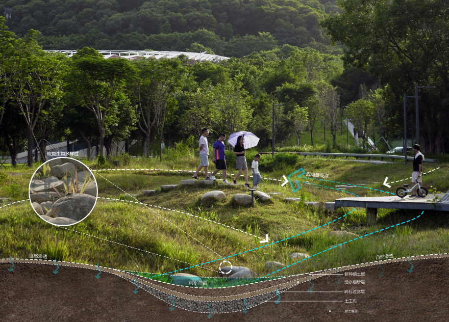 深圳光明虹桥1958生态公园丨中国深圳丨深圳自组空间,深圳市建筑科学研究院股份有限公司-57