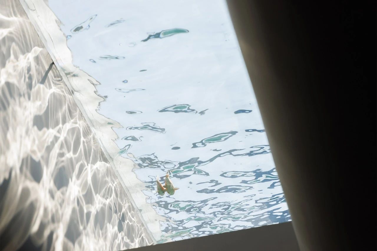 LEMON HOTEL 金华良幕酒店丨中国金华丨WVD｜智谷创筑设计-49