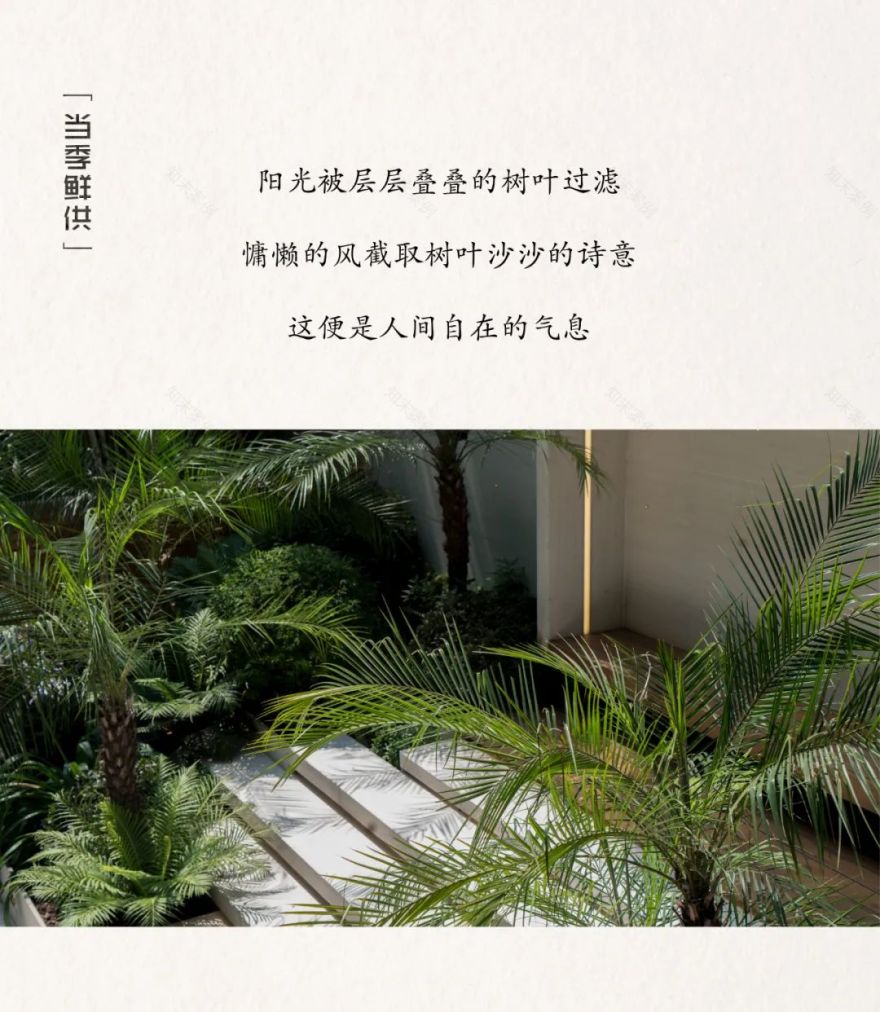 橱窗花园 · 打造城市中的自然绿洲丨中国金山丨MUSO DESIGN-24