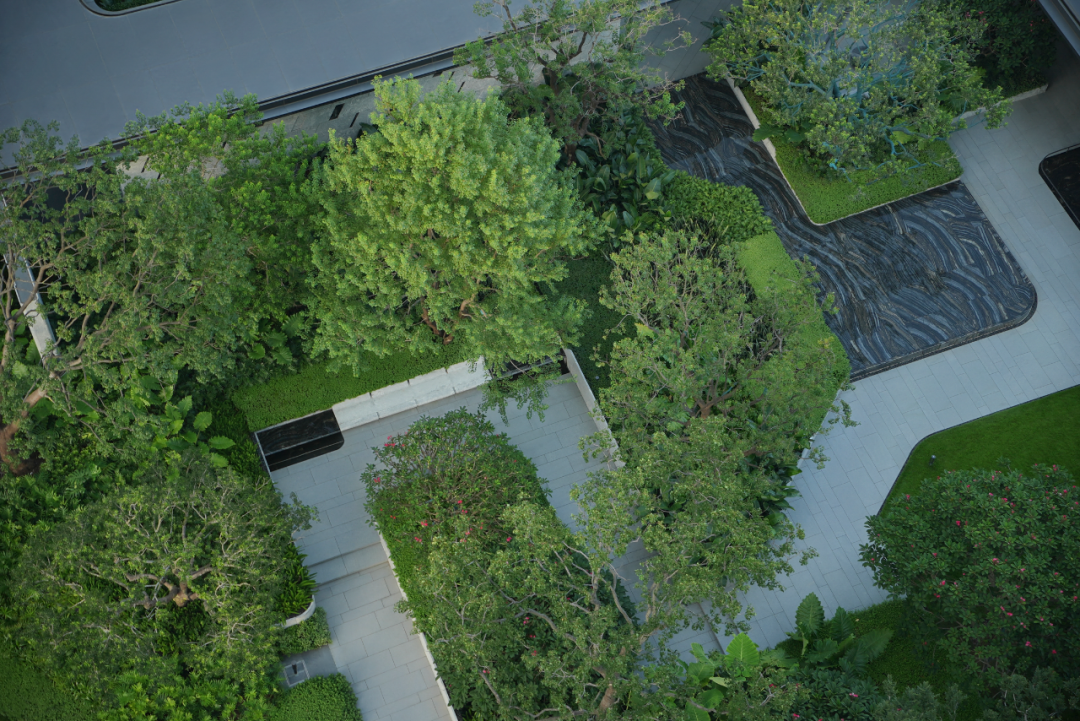 JTL加特林|汐线叠影，向深蓝凝望-深圳招商玺-61