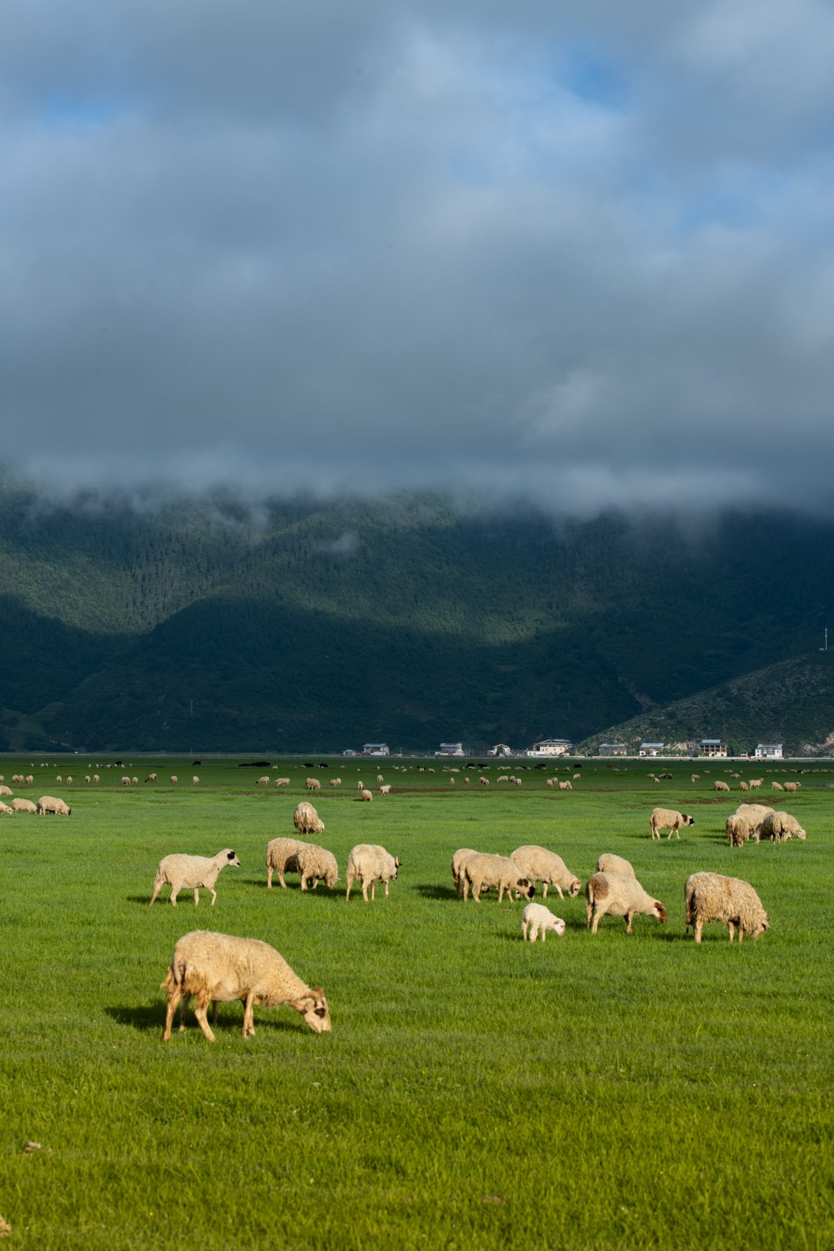 锦瑟·在野院丨中国云南丨岭众联合-33
