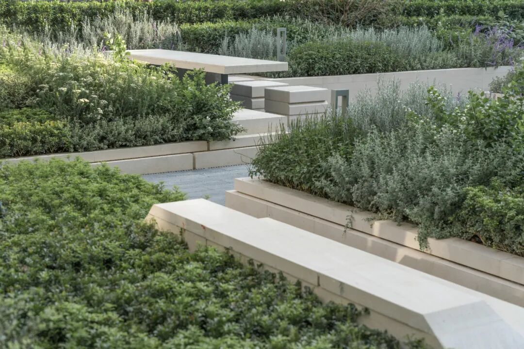 珠海华润银行总部丨海岸边的花园-23