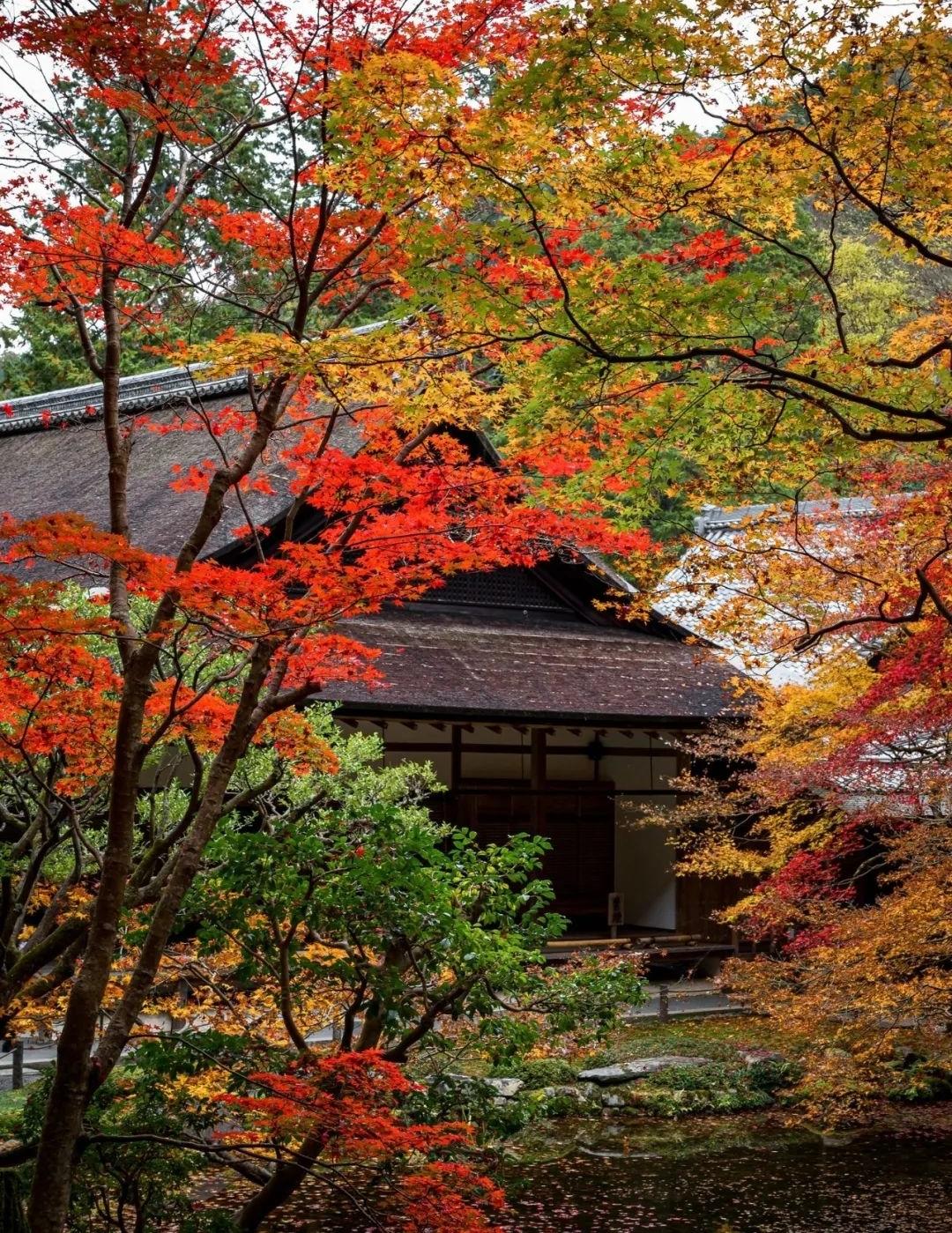 梦窗疏石·禅庭闲寂丨日本-40