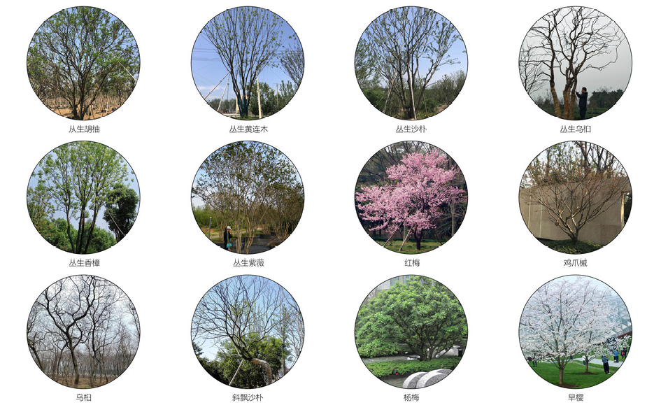 光大·云启府丨中国长沙丨杭州木杉景观设计有限公司-88