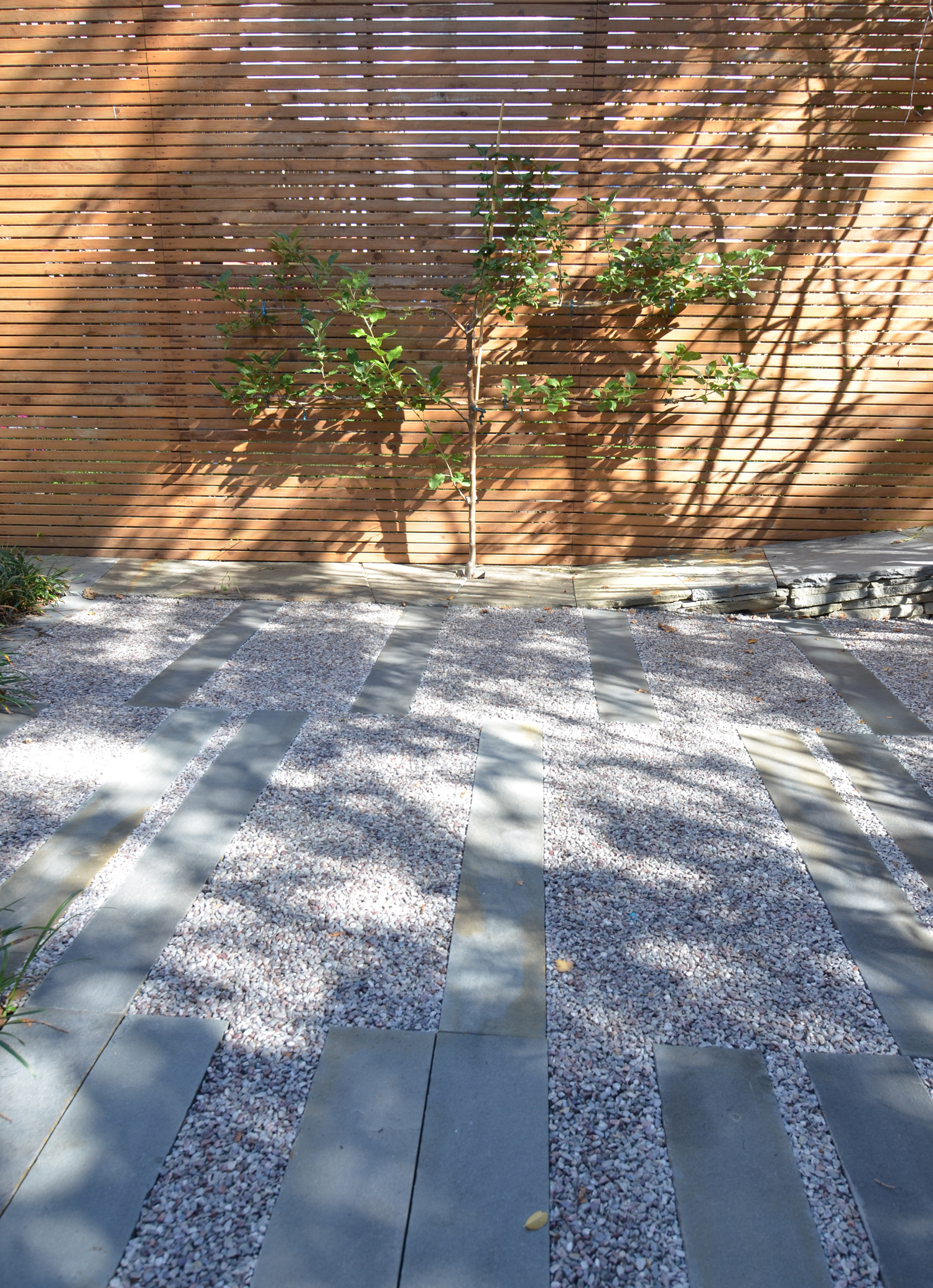 Urban Sponge Garden（城市海绵花园）丨美国新泽西-13