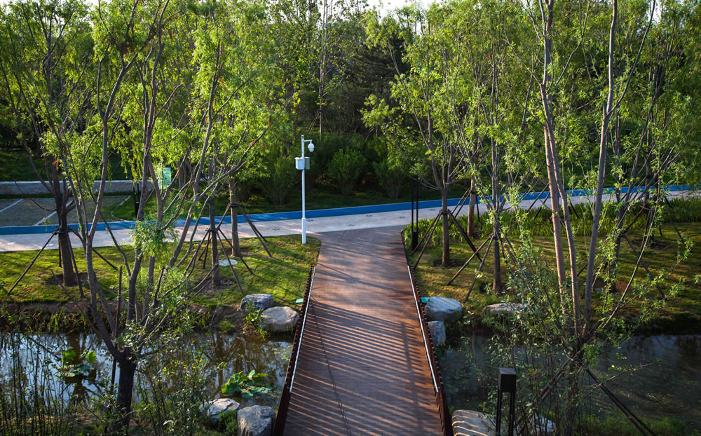 秦皇岛 SEATOPIA 蔚蓝海岸中央公园丨中国河北丨易兰设计-33