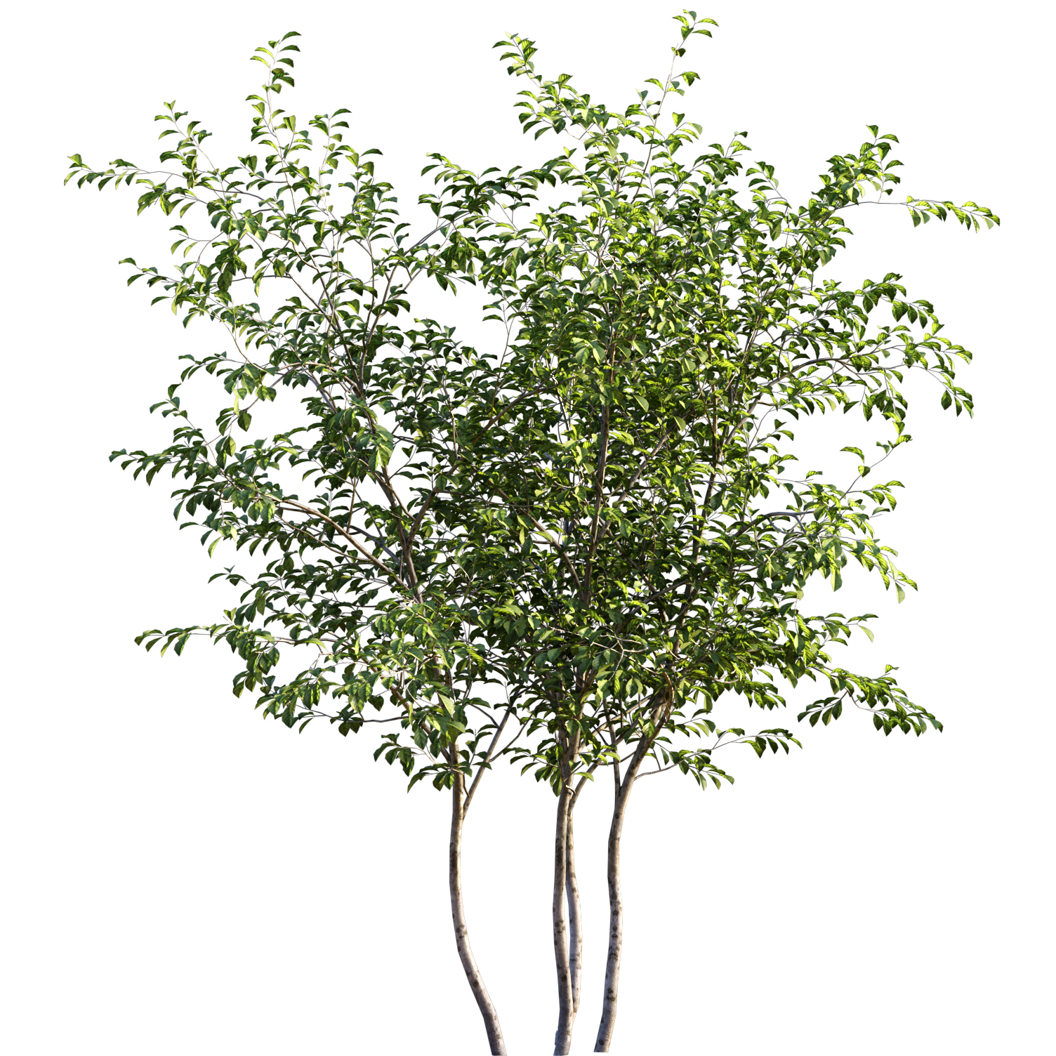 四季园林美景-10