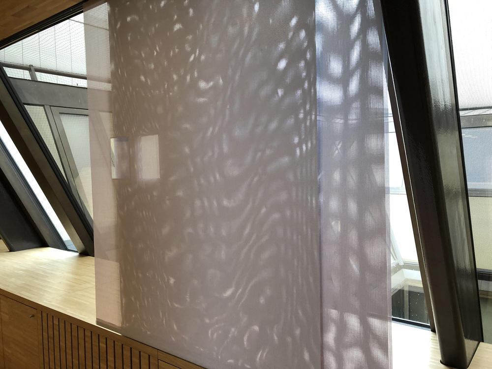 巴黎 Weill 办公室的内外翻转设计-5