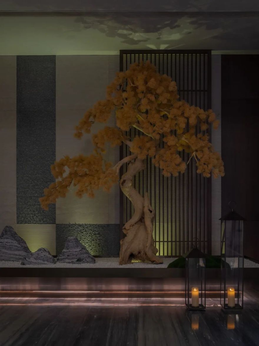 荡舟澄澜意,星霜荏苒游丨中国泰州丨吕绍苍-61