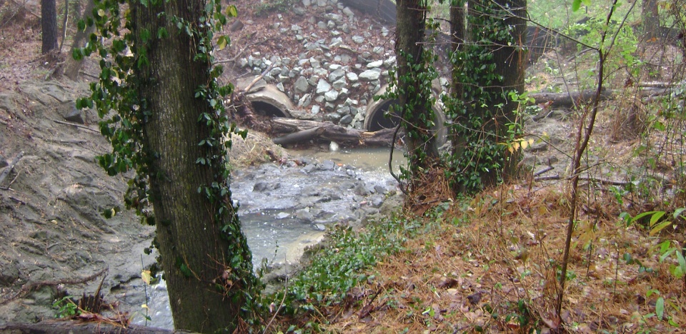 杜克大学雨水池塘景观设计丨美国北卡罗来纳-23