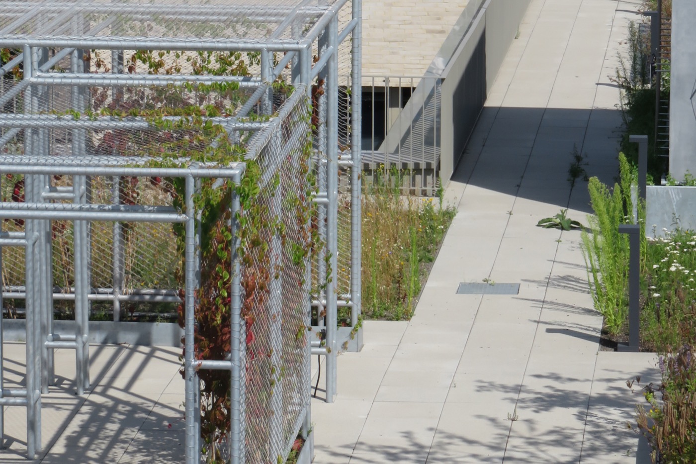 慕尼黑 Macherei 区多功能绿色空间创新设计丨德国慕尼黑-22