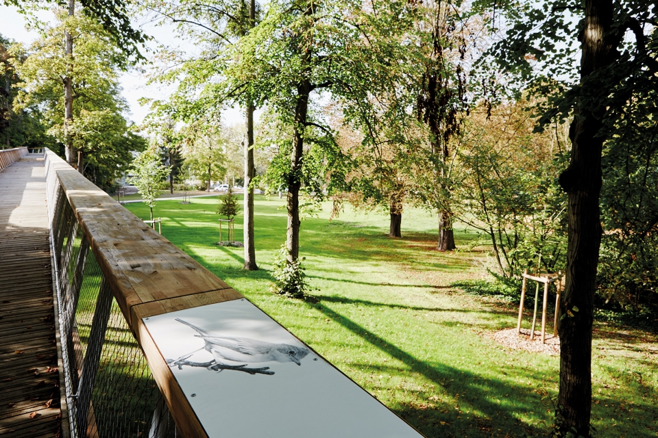 城市坡道 | 连接克雷伊市中心的无障碍新路径-47