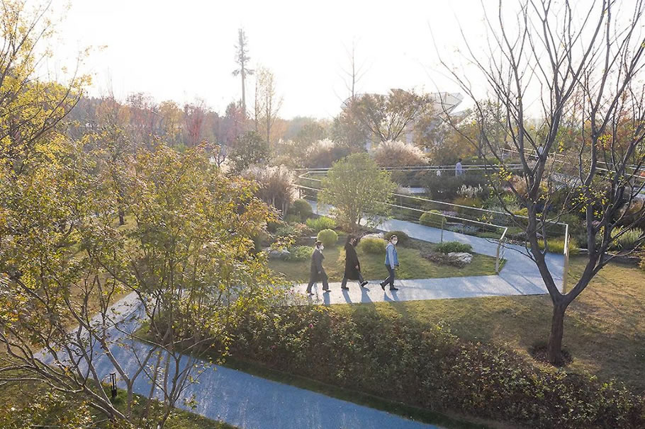 第十三届中国（徐州）国际园林博览会上海展园丨中国徐州丨上海市园林设计研究总院有限公司-83