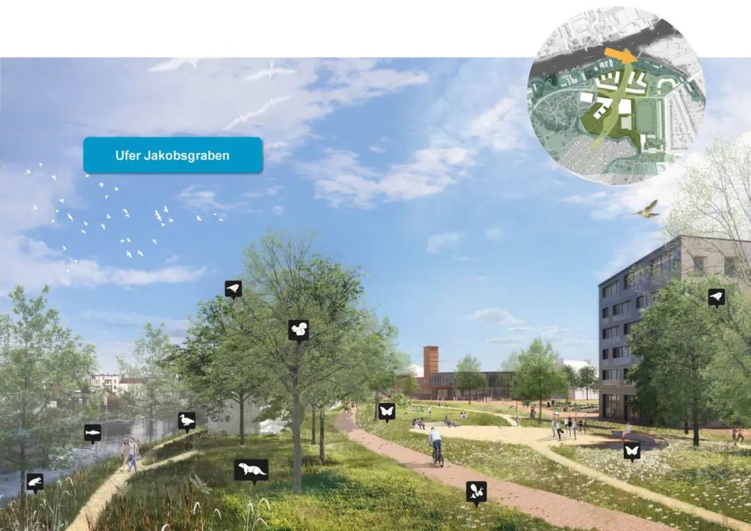 「哈弗尔湿地社区」未来的自然与城市延伸-79