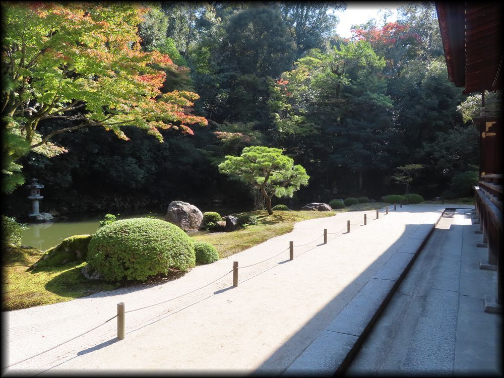知恩院方丈庭園,山亭庭園丨日本京都丨僧·玉淵-21