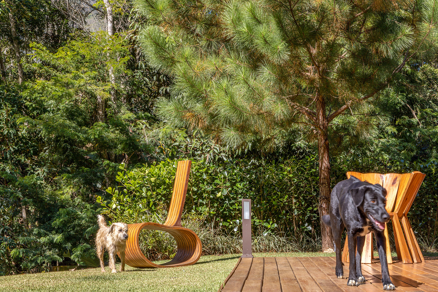 Videiras山谷中的住宅，巴西 / Rodrigo Simão Arquitetura-118