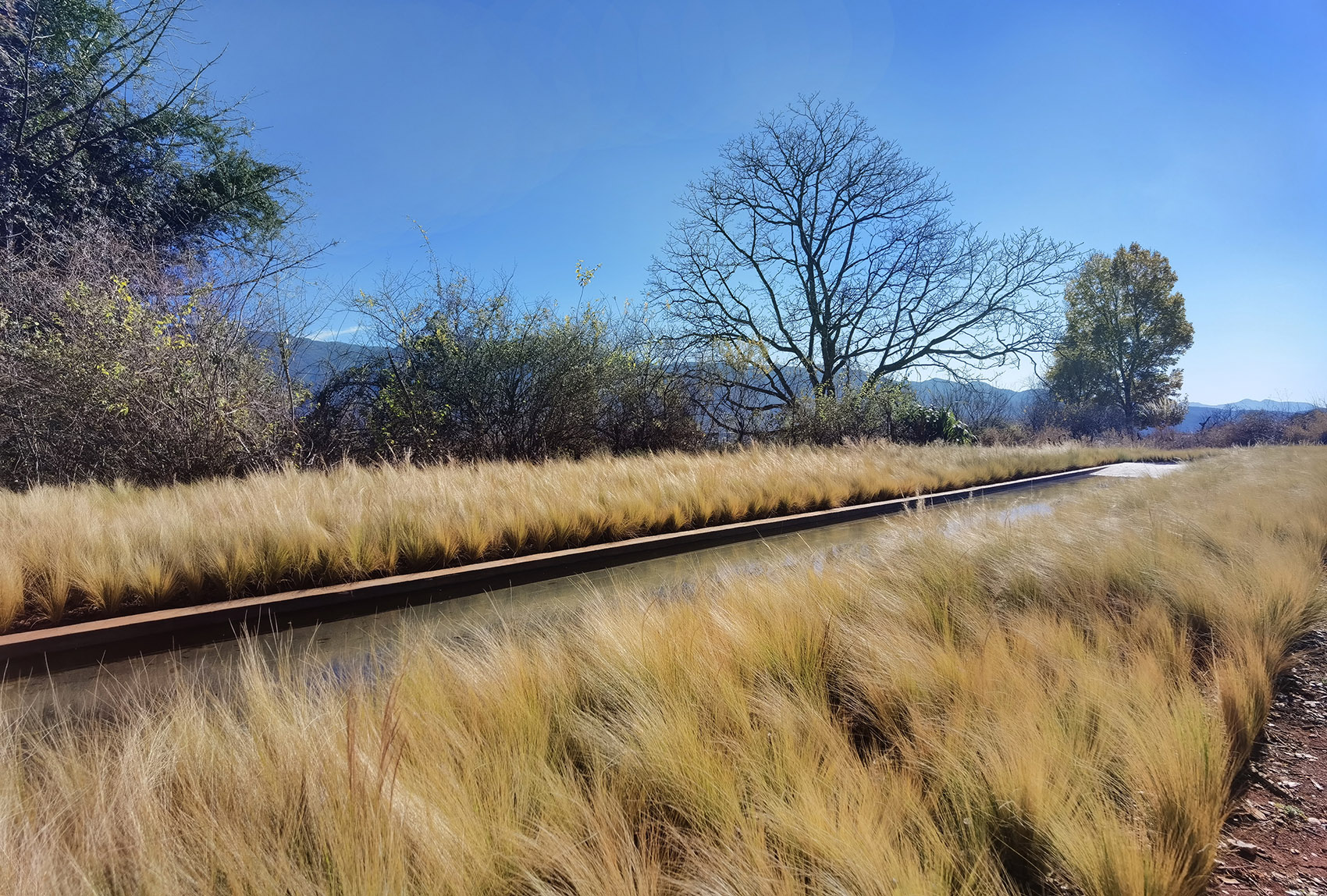 荒野花园和草甸剧场丨中国白沙丨Z’scape致舍景观-96