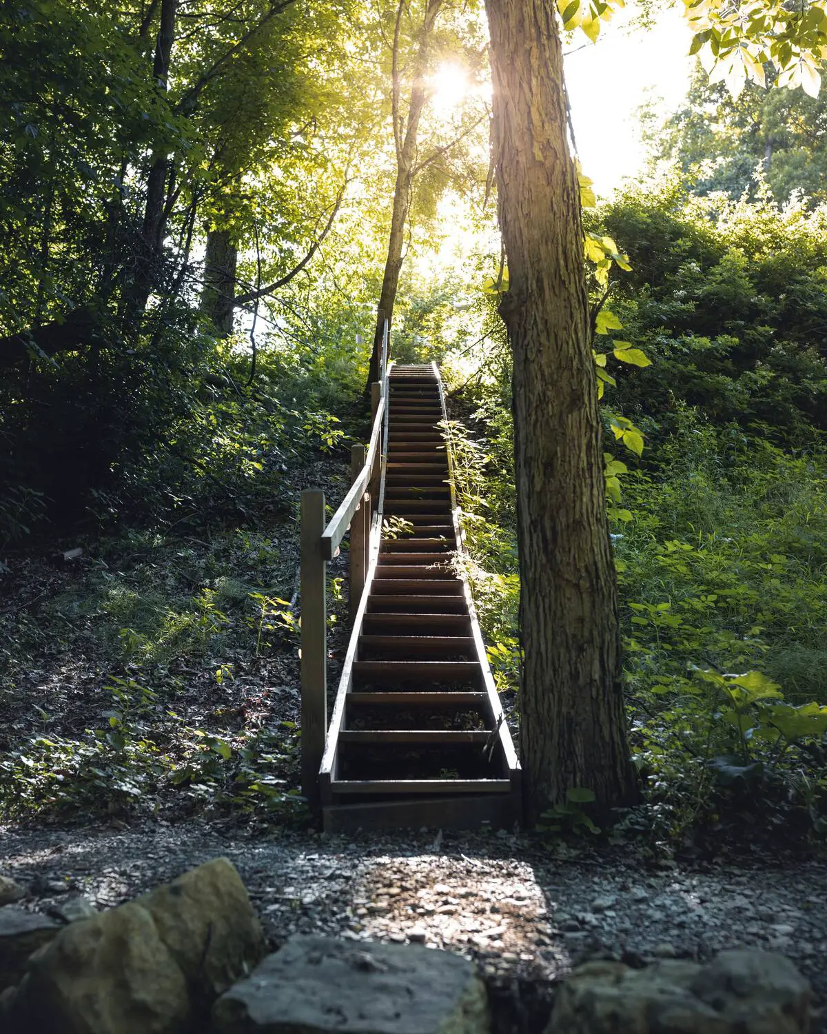 Otium(美国俄亥俄州集装箱森林小屋)-12