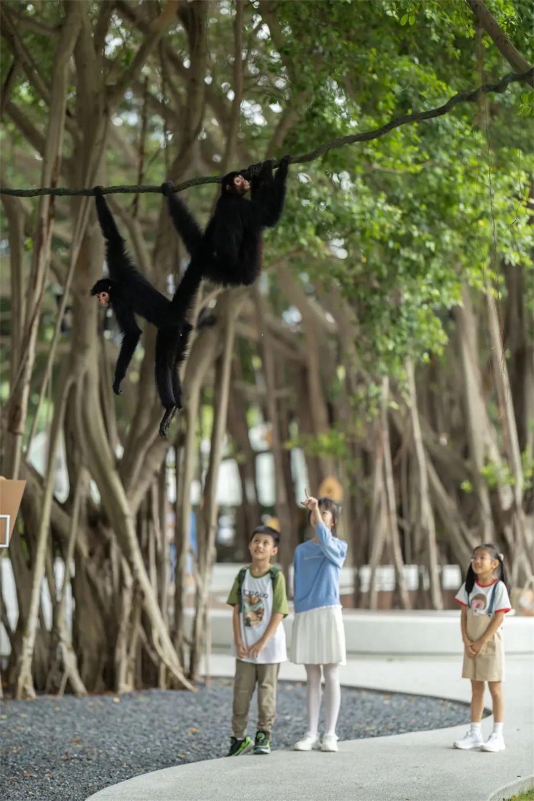 华润置地华南大区“润享•未来家”研发实践丨UA尤安设计-163