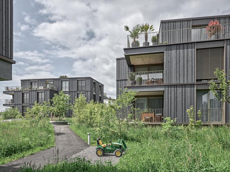 米尔拉克住宅区丨瑞士丨phalt Architekten-0