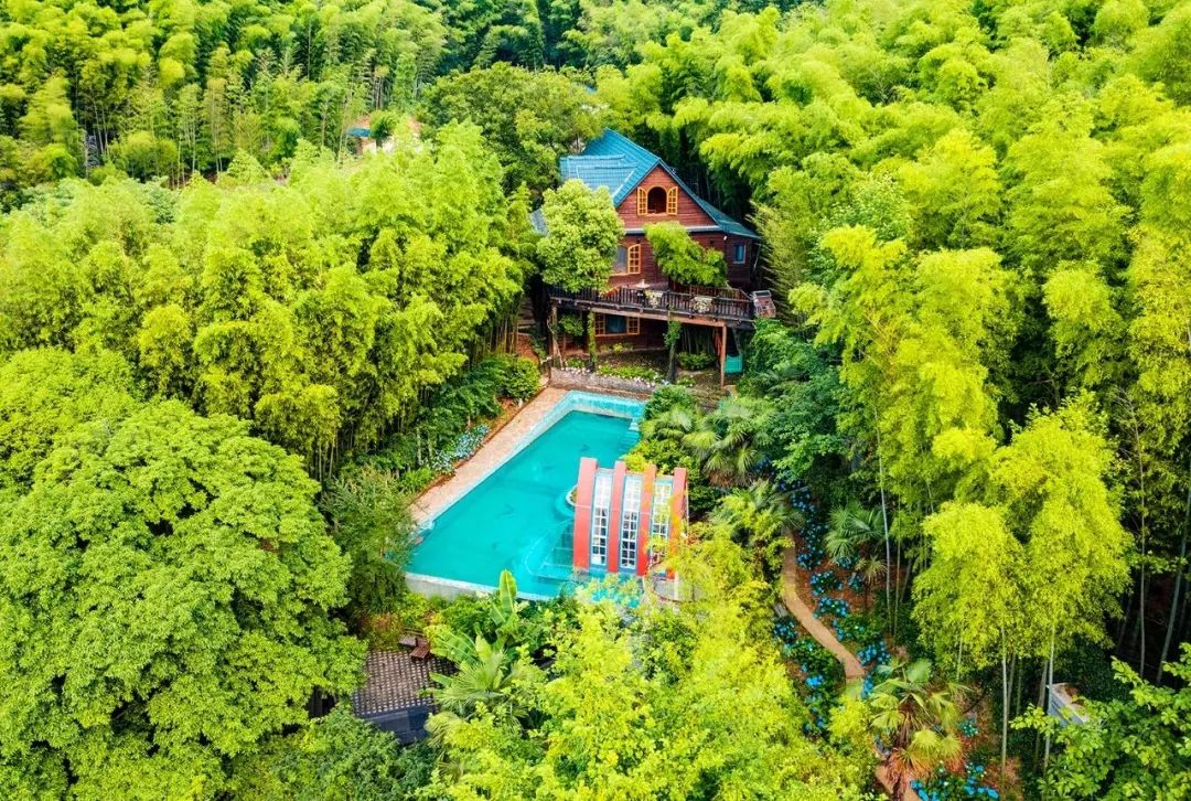 三棵树庄园 | 摄影家的心灵秘境-70