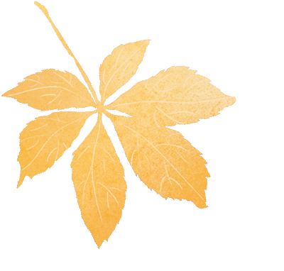 首都国企开放日丨近观医养结合新图景-11