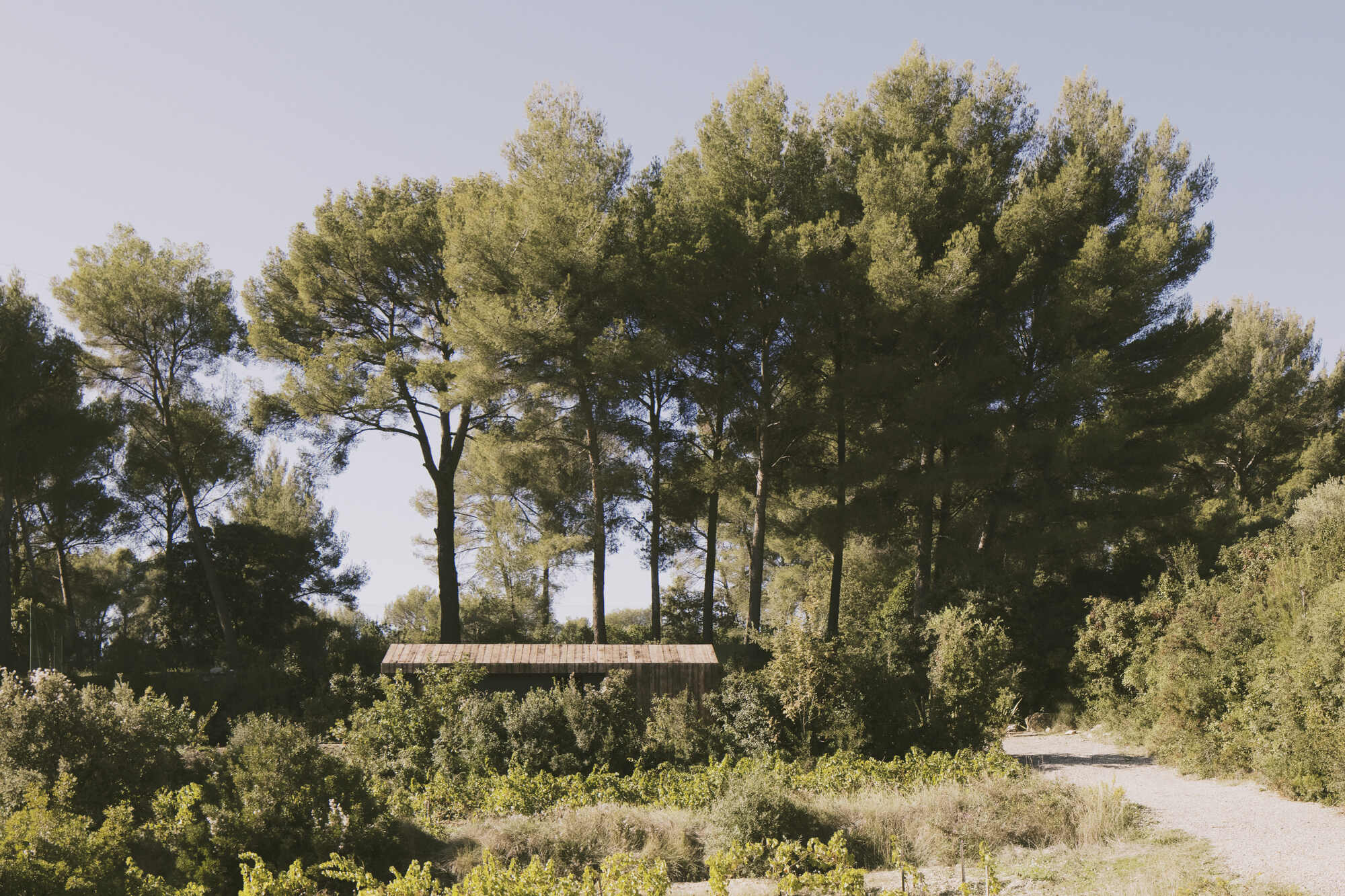 松仁小屋丨法国马赛丨daab design-17