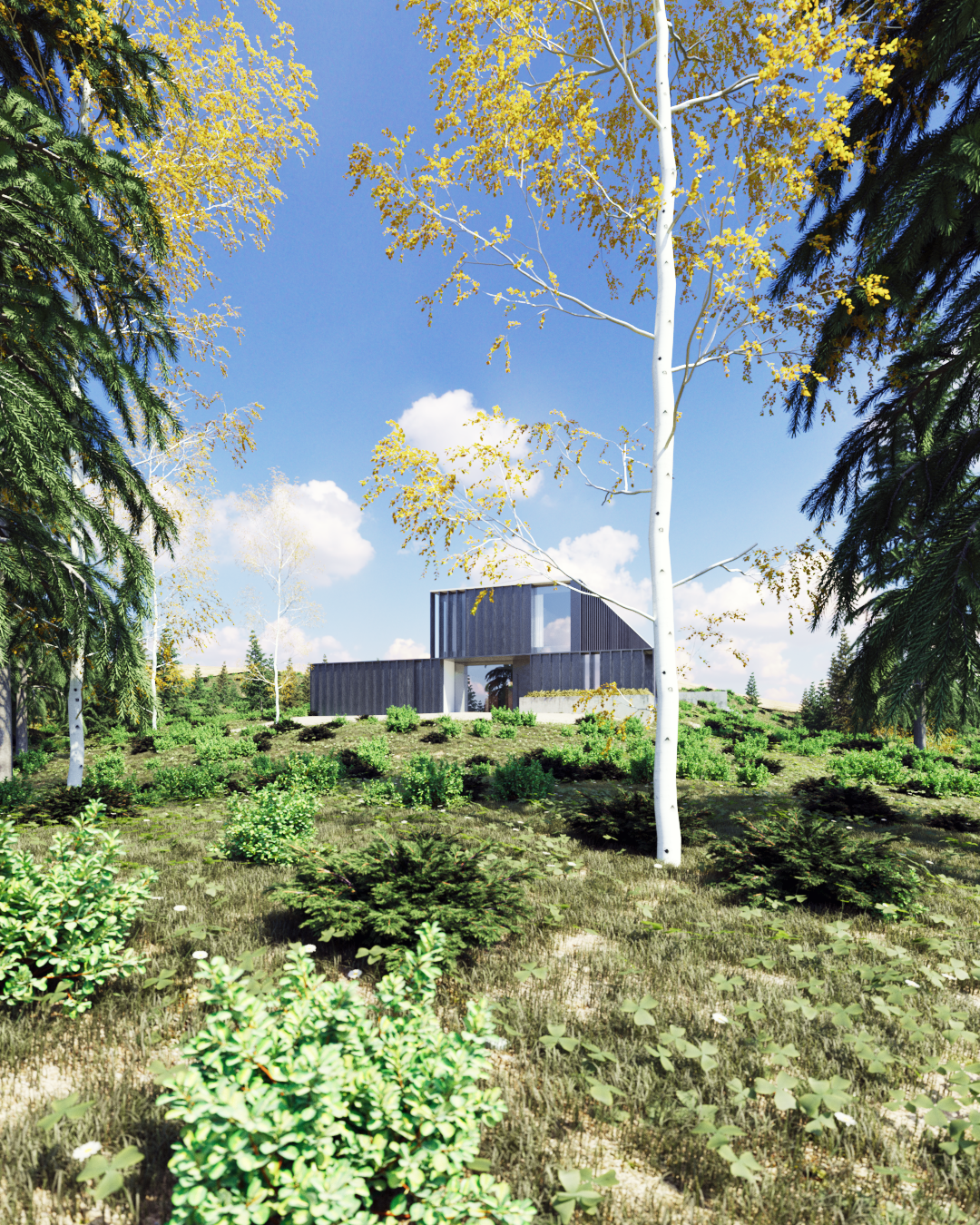 Casa Container 住宅-4