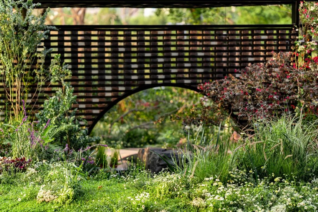 绮云书香|2024粤港澳大湾区花展宝安区城市花园-102