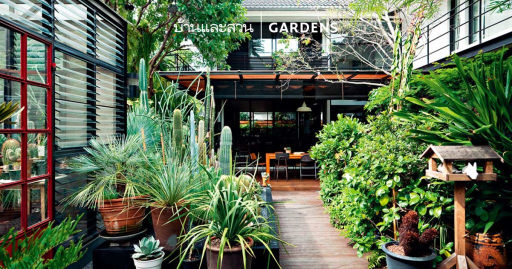 สวนกระบองเพชร ในเรือนกระจกใส ปลูกง่าย ตายยาก - บ้านและสวน-0