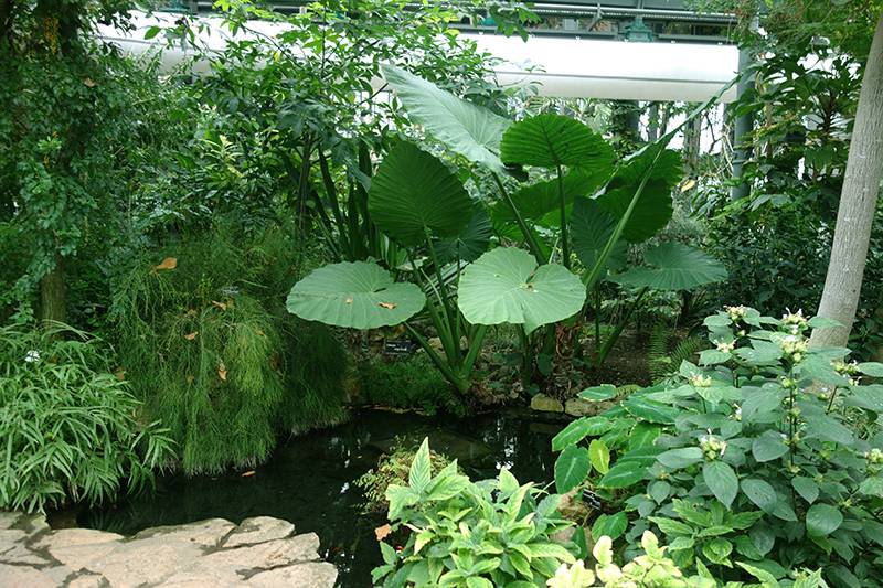Giardino Botanico di Lione（里昂植物园）丨法国里昂-5