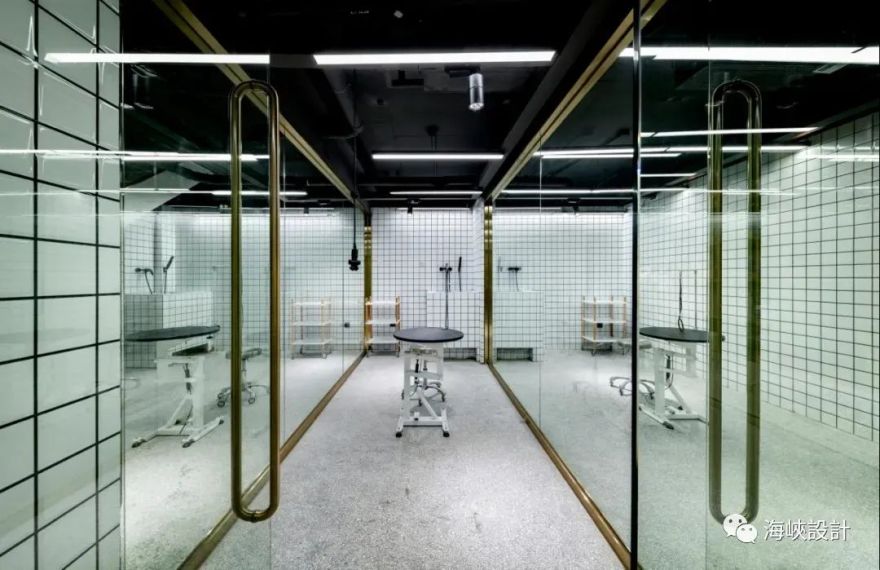 福州卡夫·House 五星級寵物店,設計演繹浪漫與精致-34