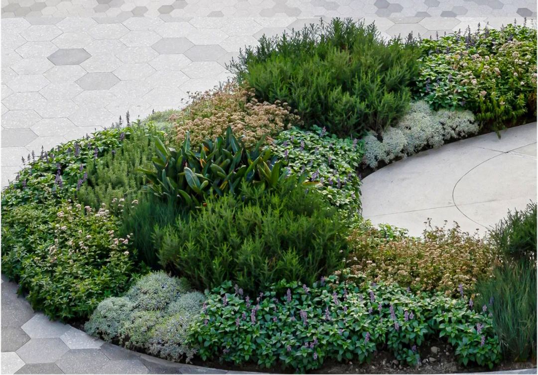 万象更新，续写想象|成都万象城中心广场改造-95