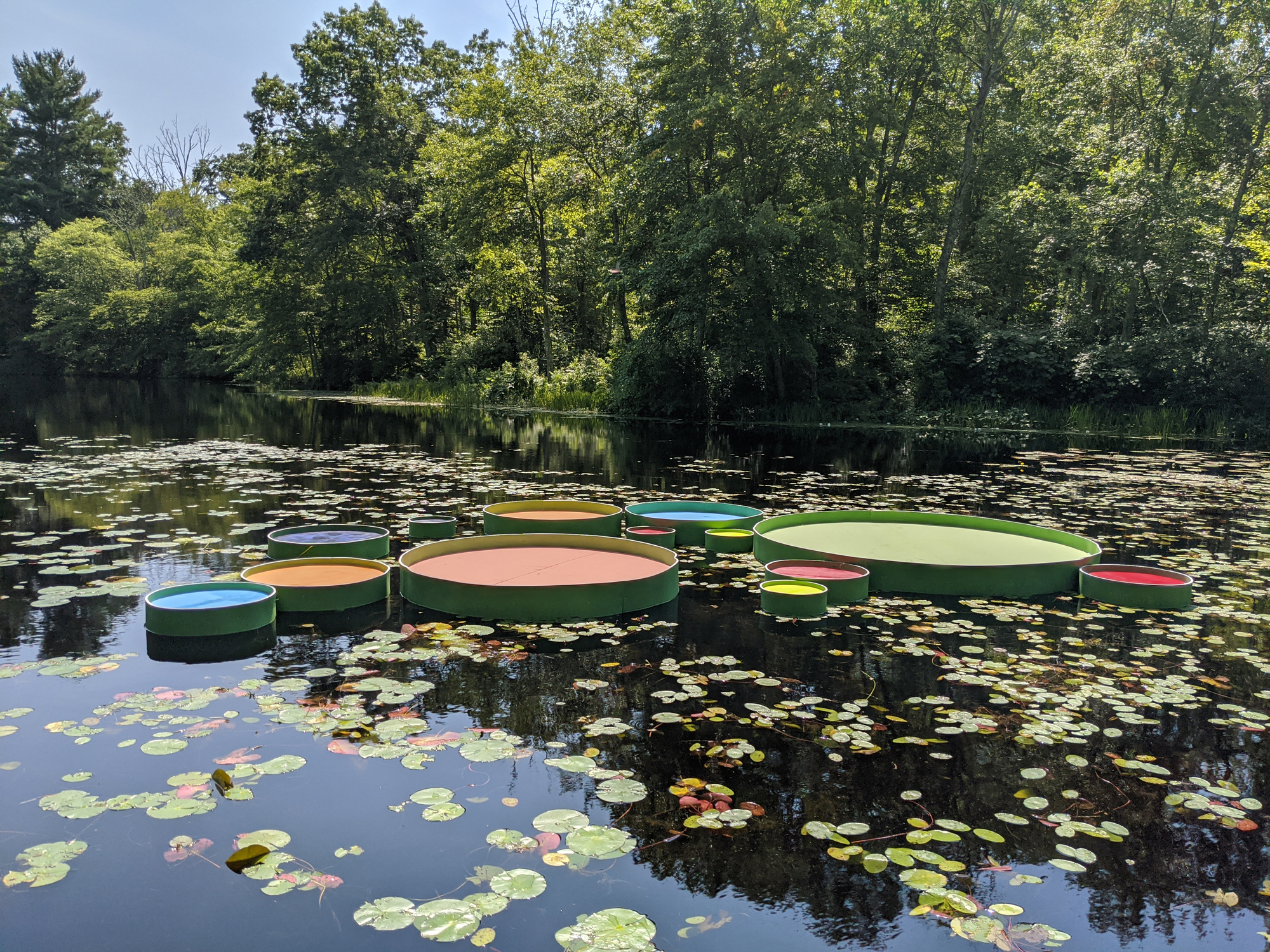 百合项目丨美国丨Jaemee Studio-11