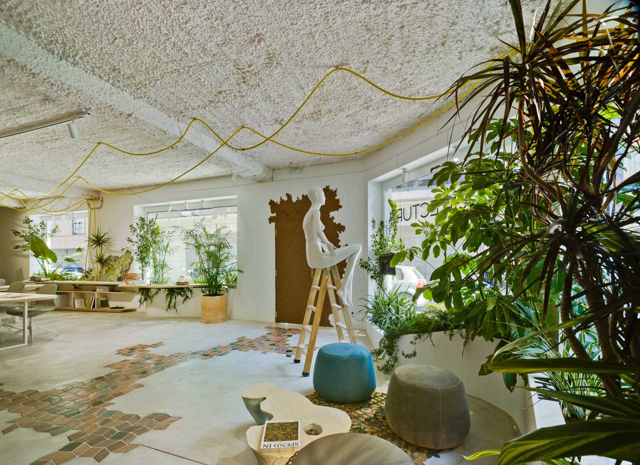 Antonio Maciá打造自然风绿意办公室-2