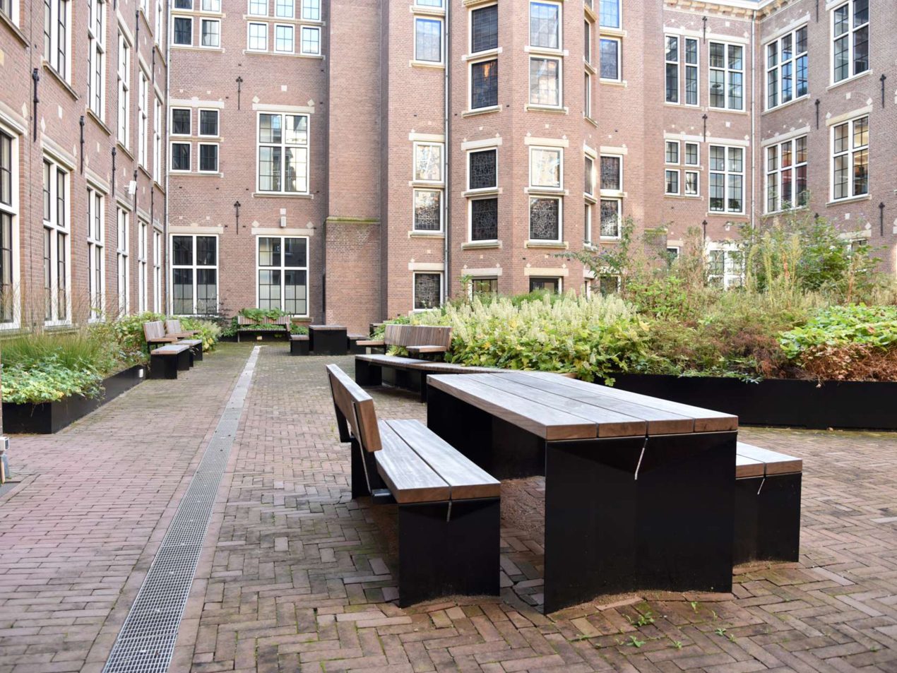 海牙壳牌园区户外空间更新项目丨荷兰海牙-12