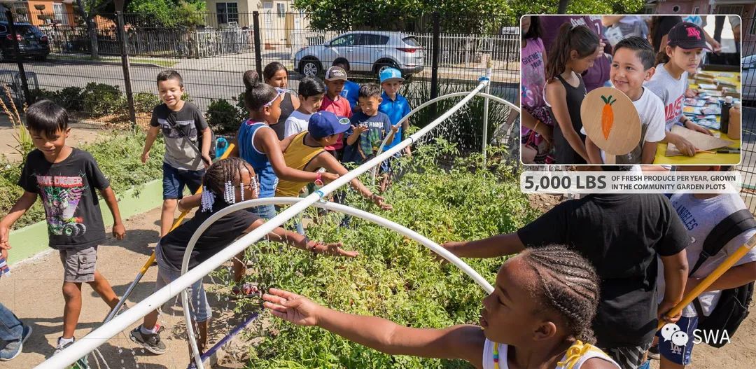 Ricardo Lara 线性公园丨美国加利福尼亚丨SWA 设计团队-6