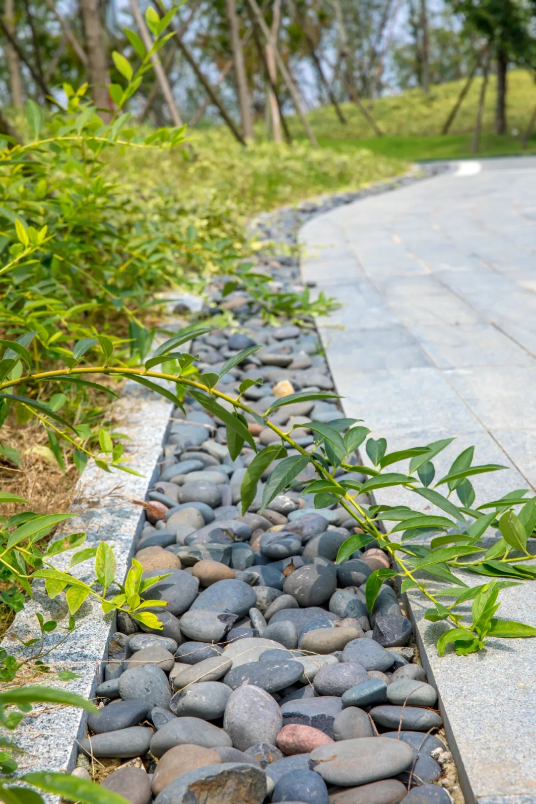 常州三江口公园-16