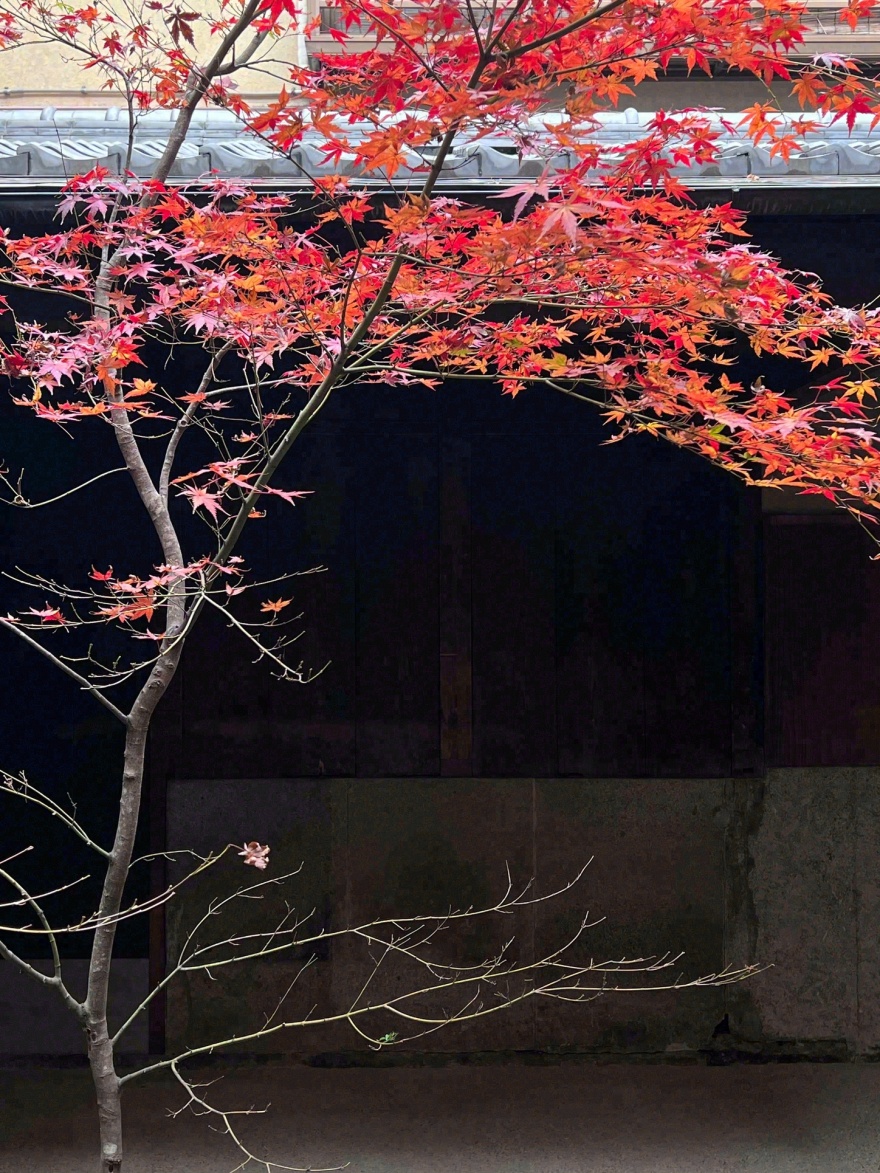 高古轩画廊京都分馆丨日本京都丨Seiichiro Takeuchi Architect-55