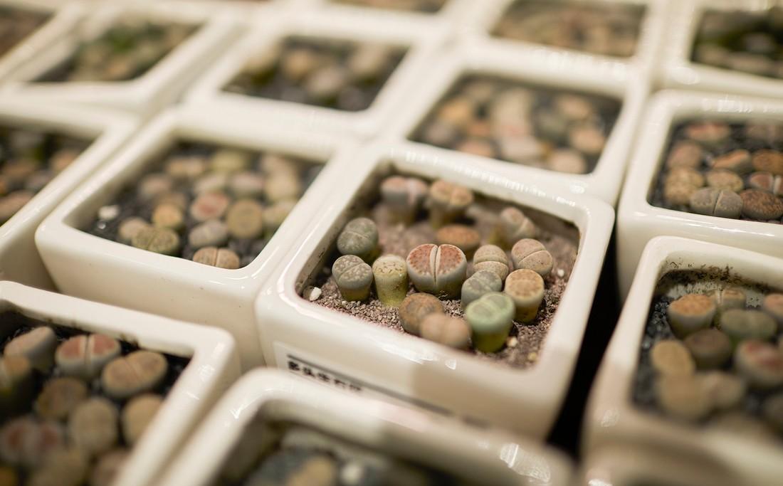 鹿岛生活丨集嘉设计-53