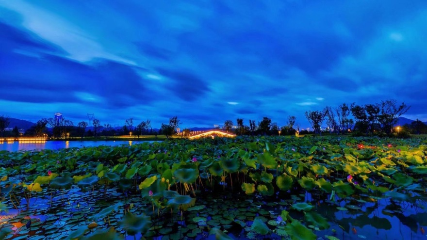 杭州富阳阳陂湖生态修复治理项目(一期)丨中国杭州丨中国电建集团华东勘测设计研究院有限公司,汉嘉设计集团股份有限公司-31