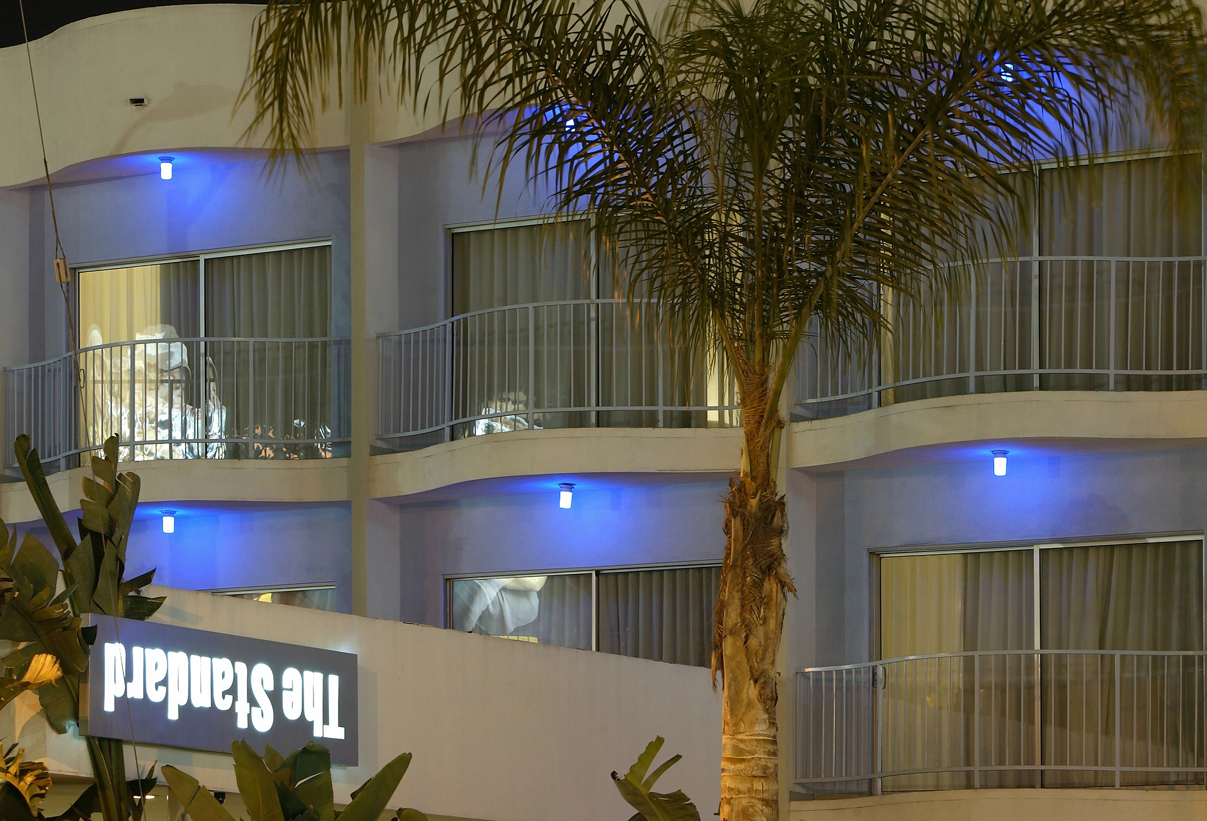 The Standard Hollywood-0