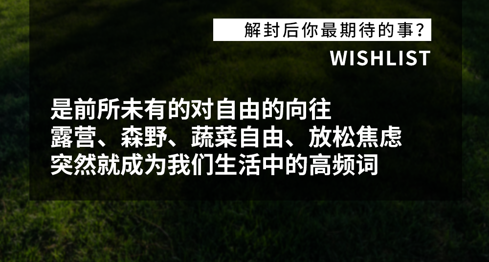 现在就出发！拥抱自由，奔赴理想的度假生活-3