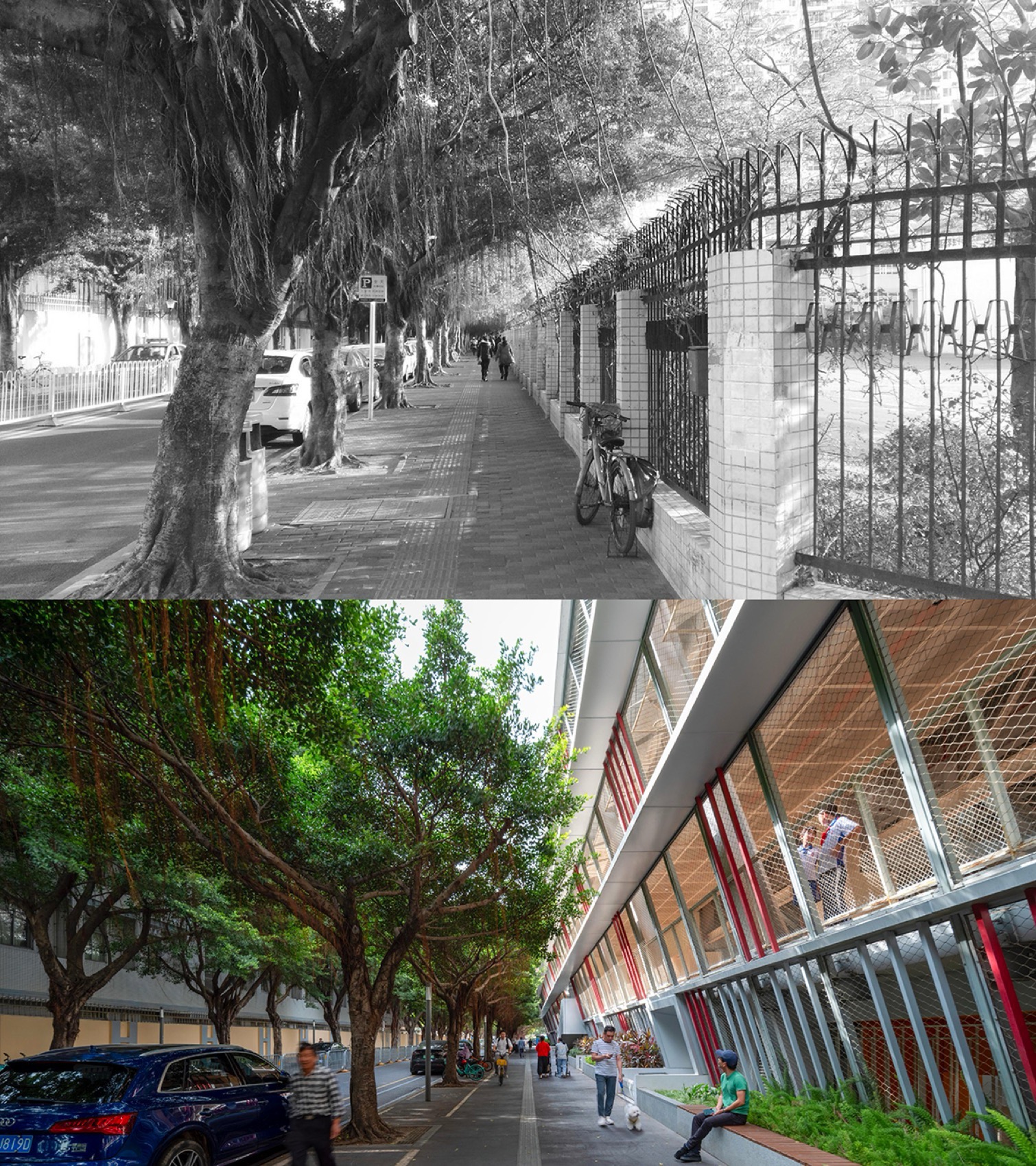 红岭中学石厦校区改扩建丨中国深圳丨土木石建筑设计事务所等多家单位-21