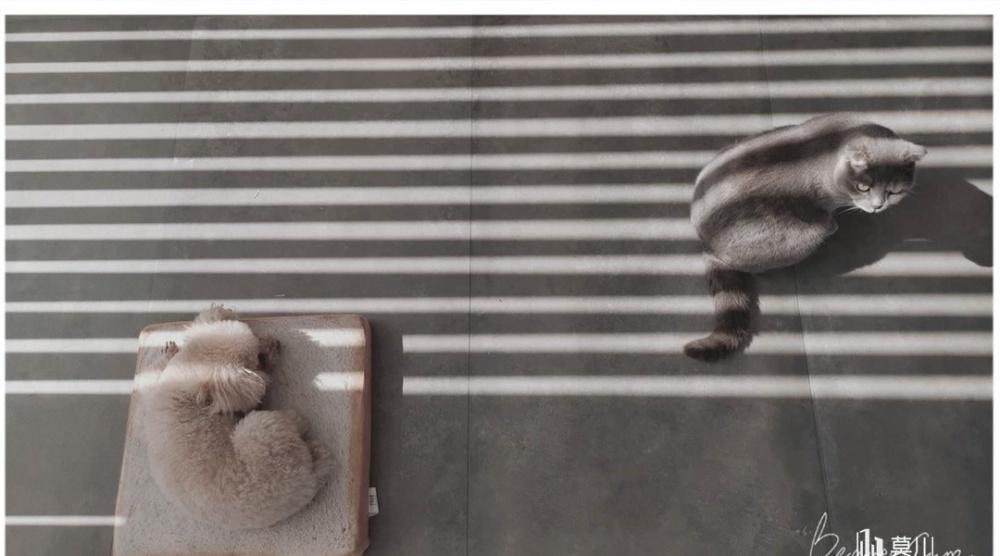 莫川设计丨平层北欧风 | 简约黑白灰,致敬悠闲生活-36