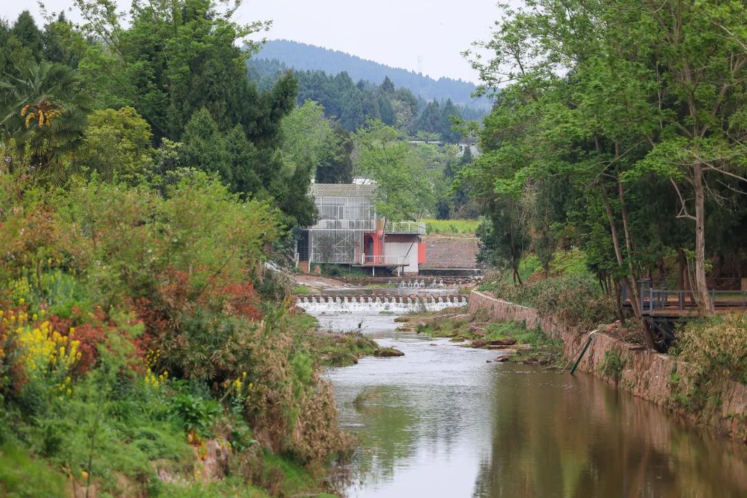 二次激活下的乡村活力复苏·德阳高槐村乡村振兴丨中国德阳丨环球地景设计有限公司-31