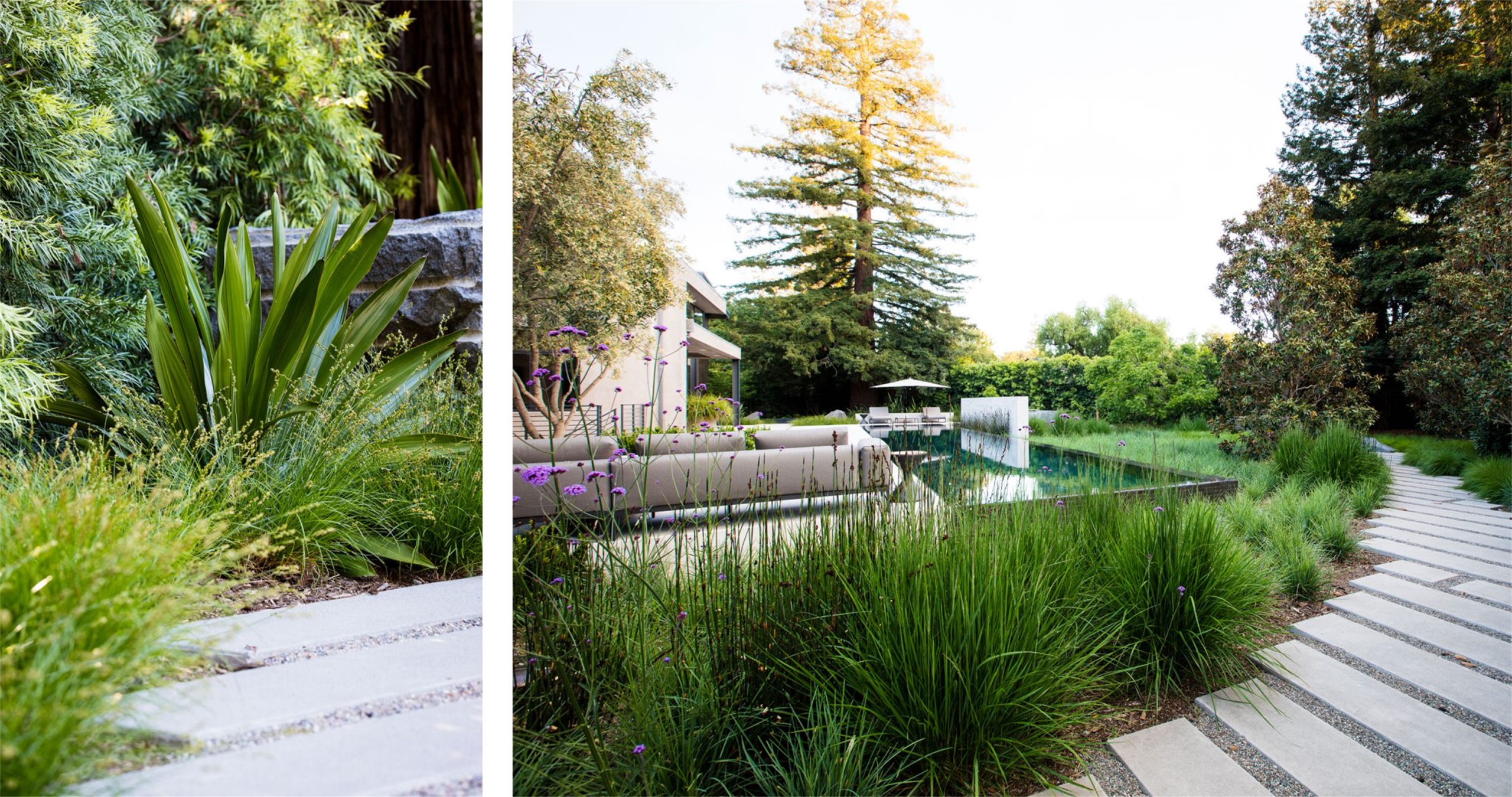 自然生长 · 私宅景观丨美国加利福尼亚-112