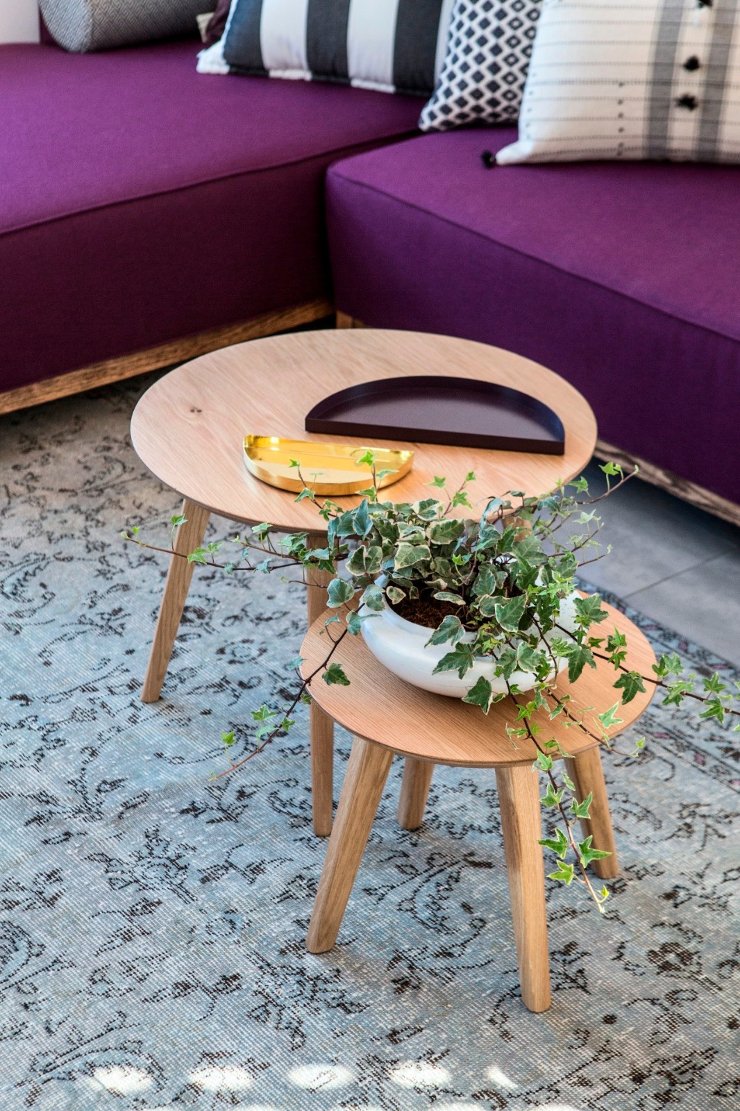 以色列 Carmit Gat 自然简约设计工作室-21