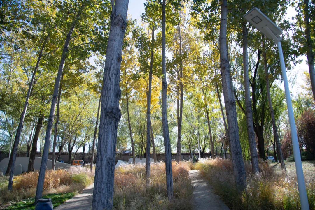 北京海淀光合公园丨中国北京丨Instinct Fabrication 本色营造-17