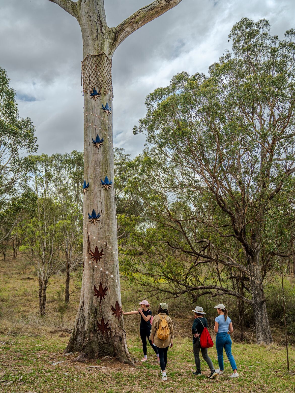 Supporting First Nations artists - Tilt | Indesignlive-2